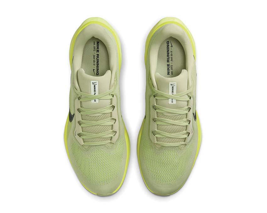  Nike Air Zoom Pegasus 41 FD2722-303
