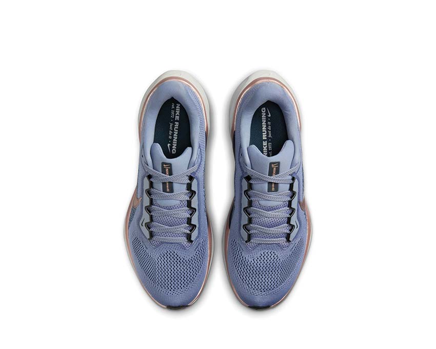 Nike Air Zoom Pegasus 41 W Ashen Slate /Metallic Red Bronze - Armory Navy FD2723-403