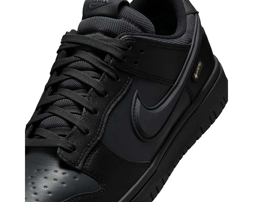 Nike Dunk Low GTX Black | NOIRFONCE