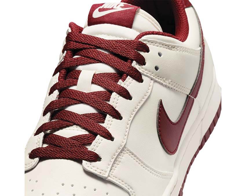 Nike Dunk Low Retro HF5441-008