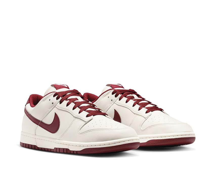 Nike Dunk Low Retro HF5441-008