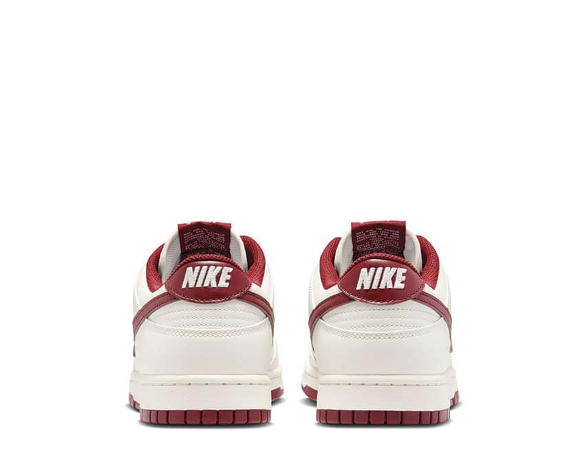 Nike Dunk Low Retro HF5441-008