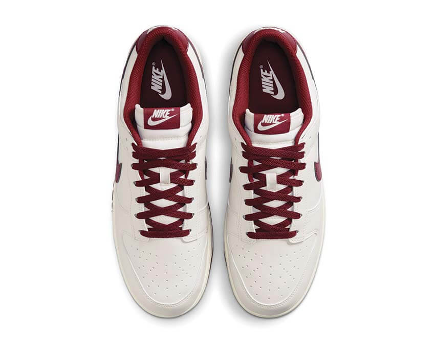 Nike Dunk Low Retro HF5441-008