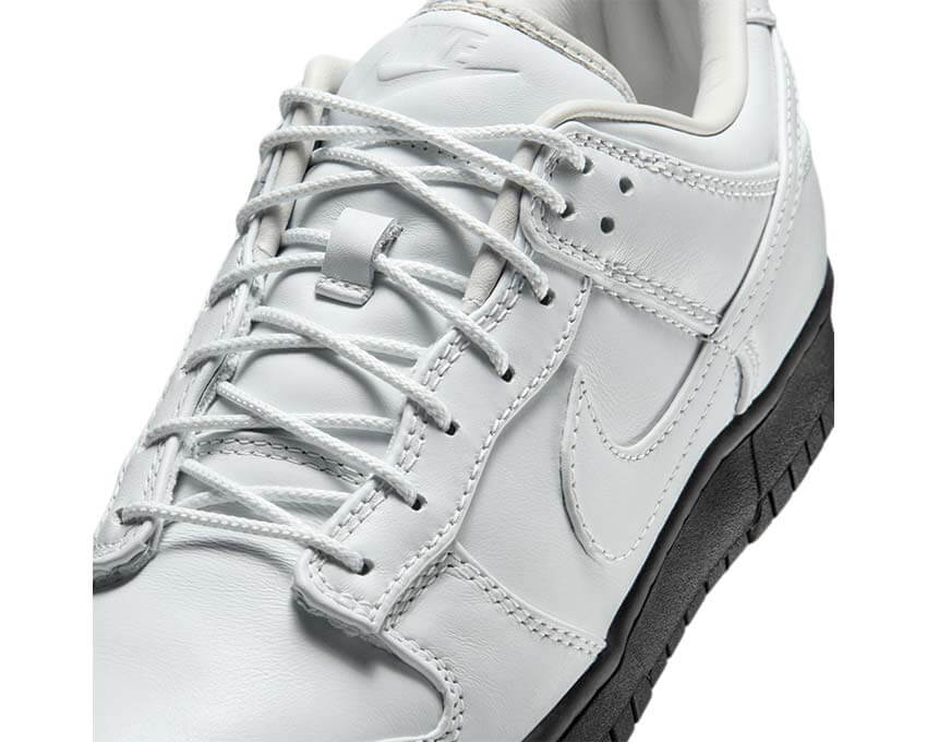 Nike Dunk Low Retro Prm QS IQ3342-100