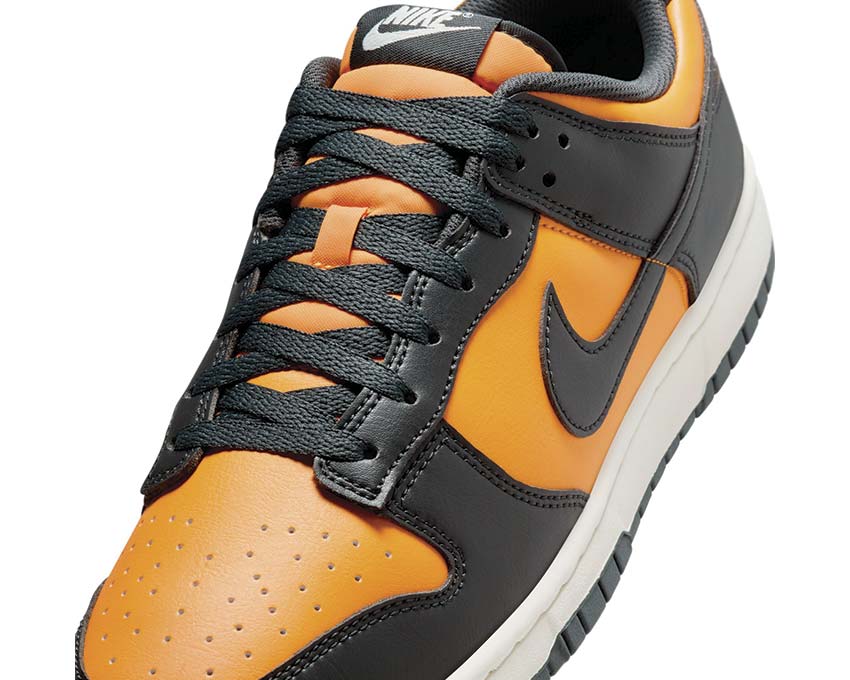 Nike Dunk Low Retro | NOIRFONCE