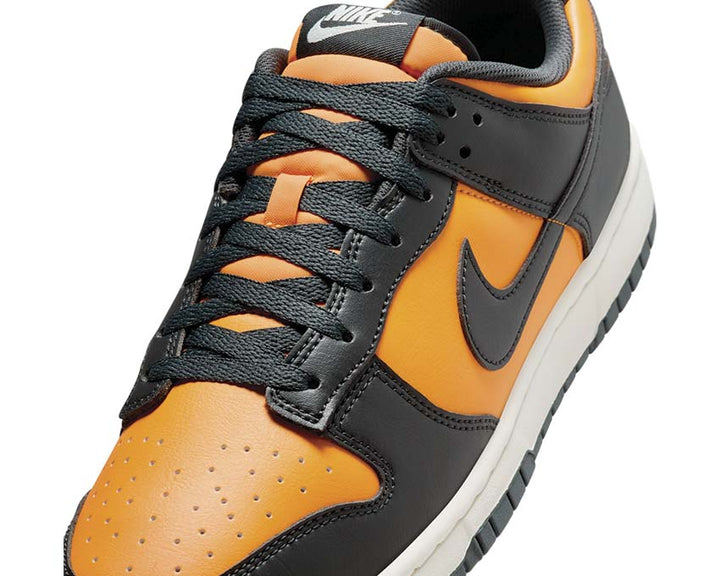 Nike Dunk Low Retro Sundial Anthracite   Sail HF5441 700 1