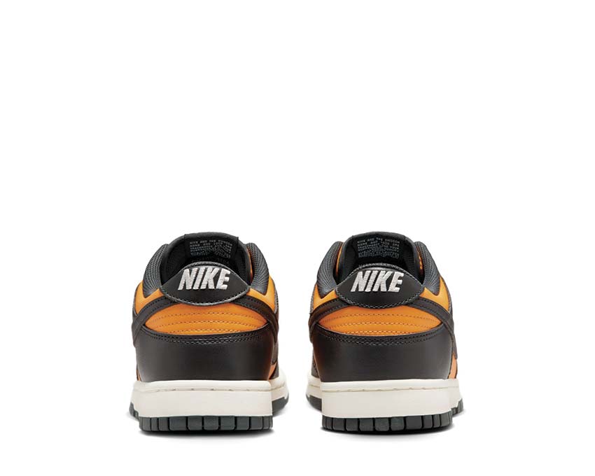 Nike Dunk Low Retro | NOIRFONCE