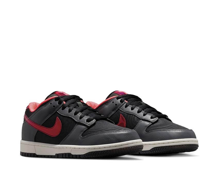 Nike Low Protro IQ3919-001