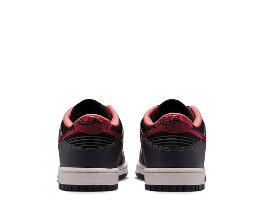 Nike Low Protro IQ3919-001
