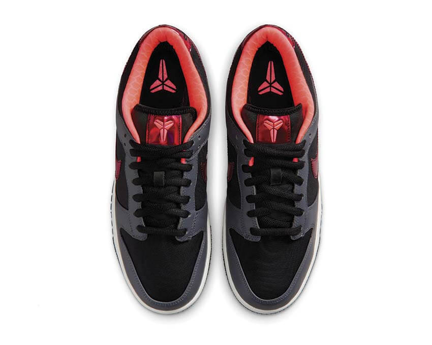 Nike Low Protro IQ3919-001