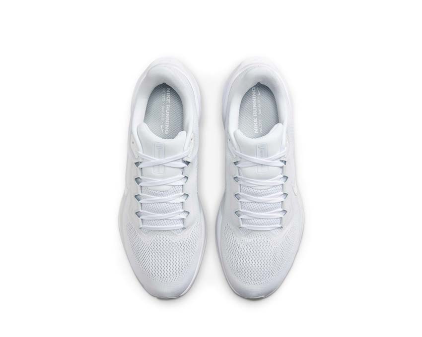 Nike Pegasus 41 White / White - Pure Platinum FD2722-102