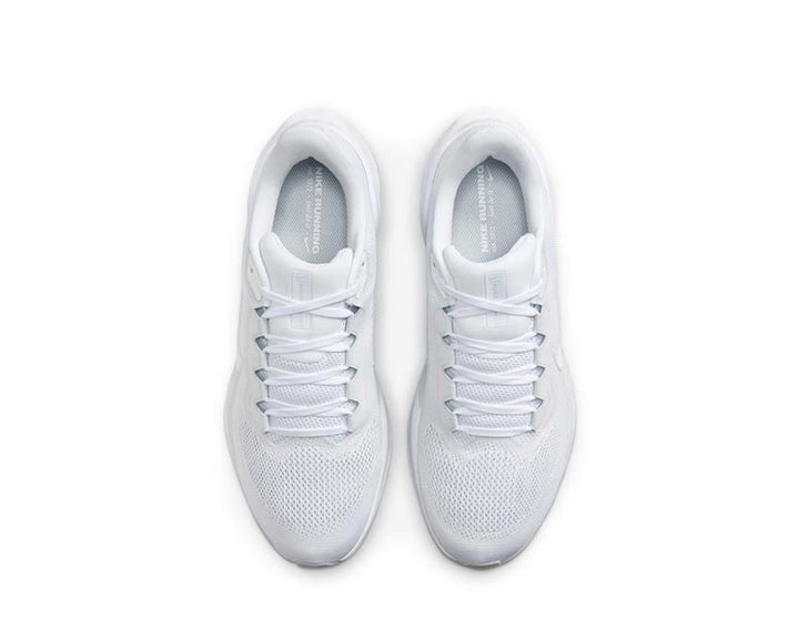 Nike Pegasus 41 White / White - Pure Platinum FD2722-102