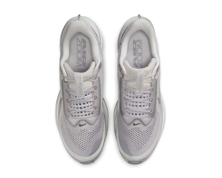  Nike Pegasus Premium HQ2592-007 