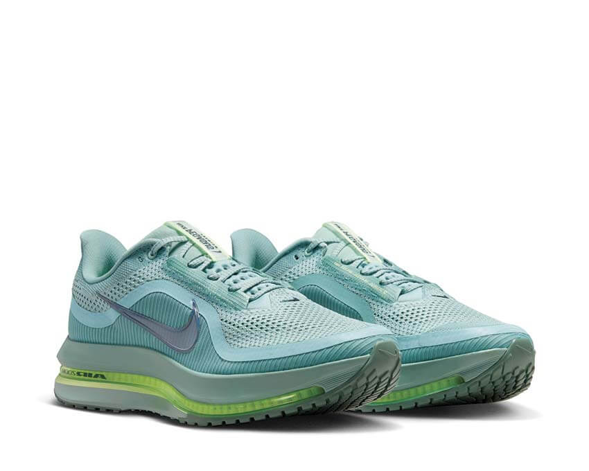 Nike Pegasus Premium HQ2592-009