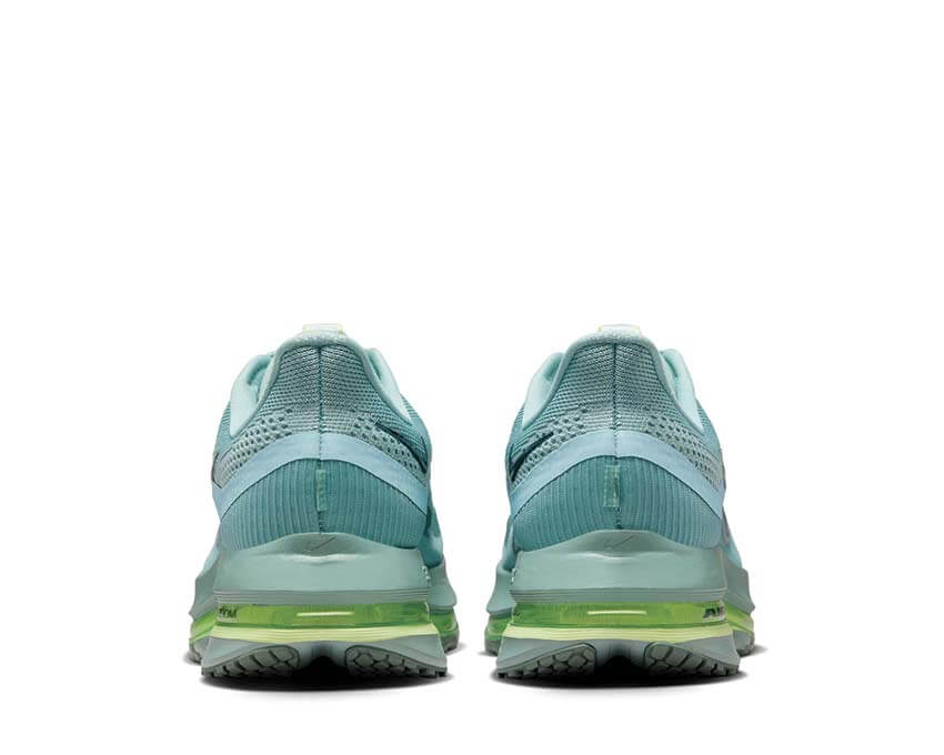 Nike Pegasus Premium HQ2592-009