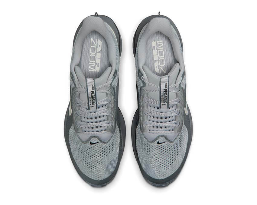 Nike Pegasus Premium HQ2592-013