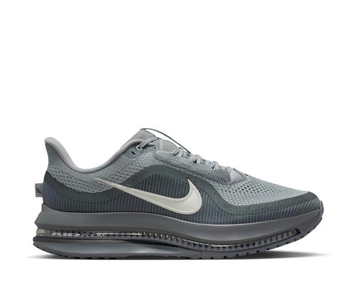Nike Pegasus Premium Wolf Grey | NOIRFONCE