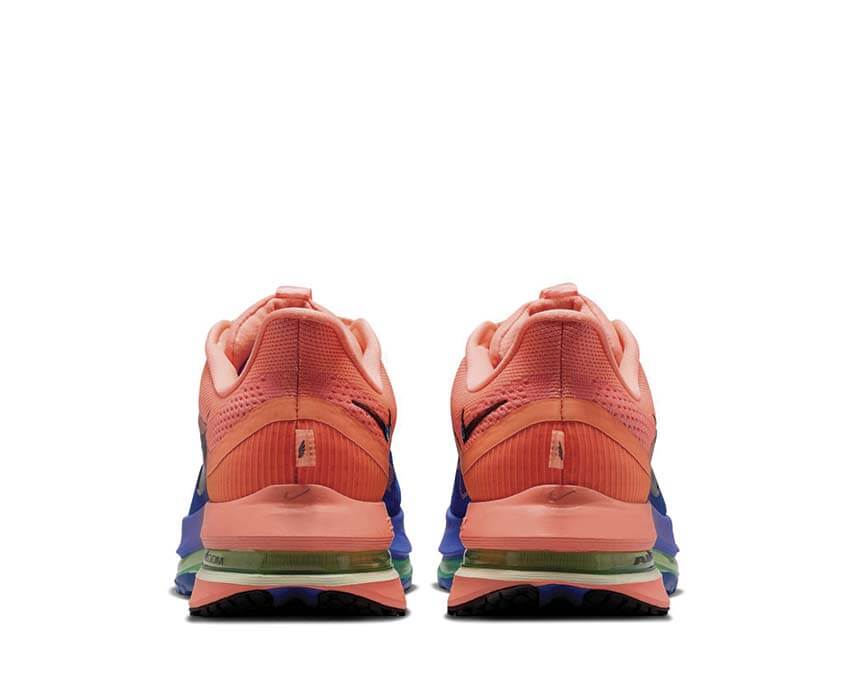 Nike Pegasus Premium HQ2592-401