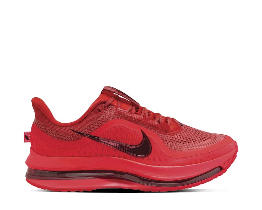 Nike Pegasus Premium HQ2592-601