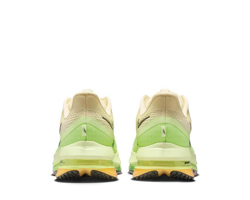 Nike Pegasus Premium HQ2592-701