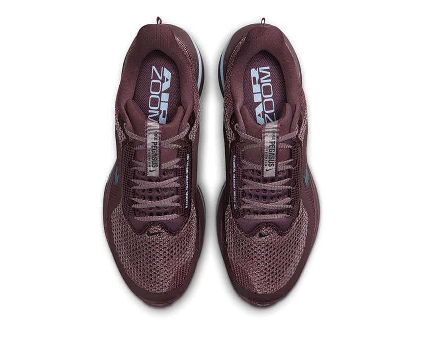 Nike Pegasus Premium W HQ2593-502