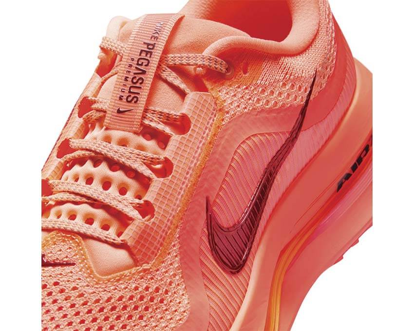 Nike Pegasus Premium W HQ2593-802