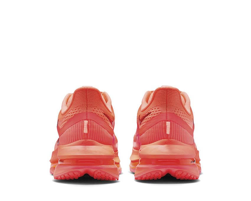 Nike Pegasus Premium W HQ2593-802