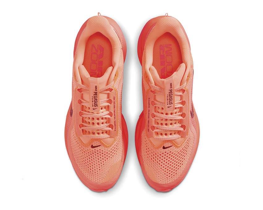 Nike Pegasus Premium W HQ2593-802