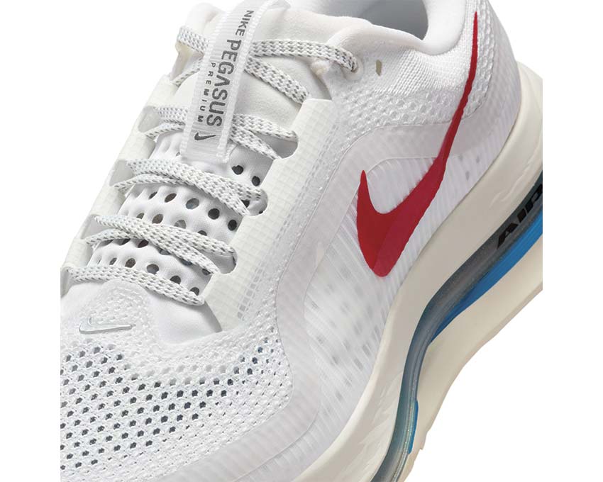 Nike Pegasus Premium W Forest Gump | NOIRFONCE