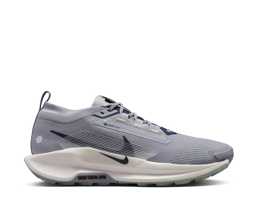  Nike Pegasus Trail 5 GTX FQ0908-006