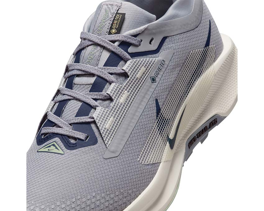 Nike Pegasus Trail 5 GTX FQ0908-006