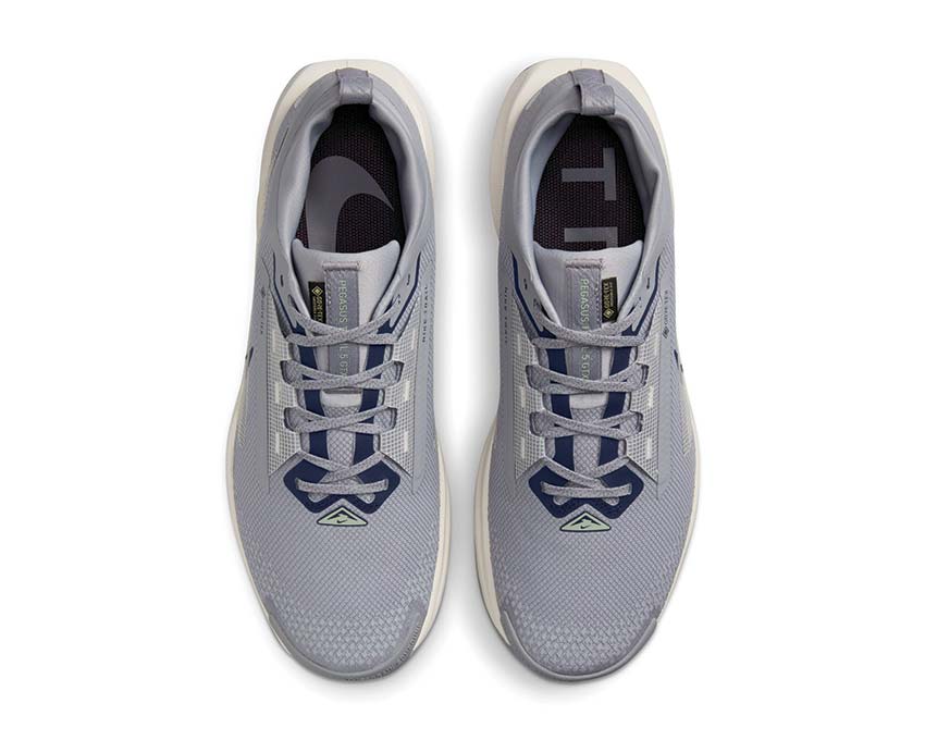  Nike Pegasus Trail 5 GTX FQ0908-006