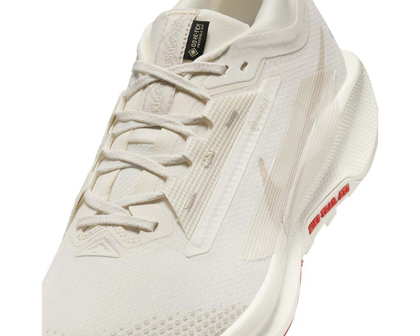  Nike Pegasus Trail 5 GTX FQ0908-100