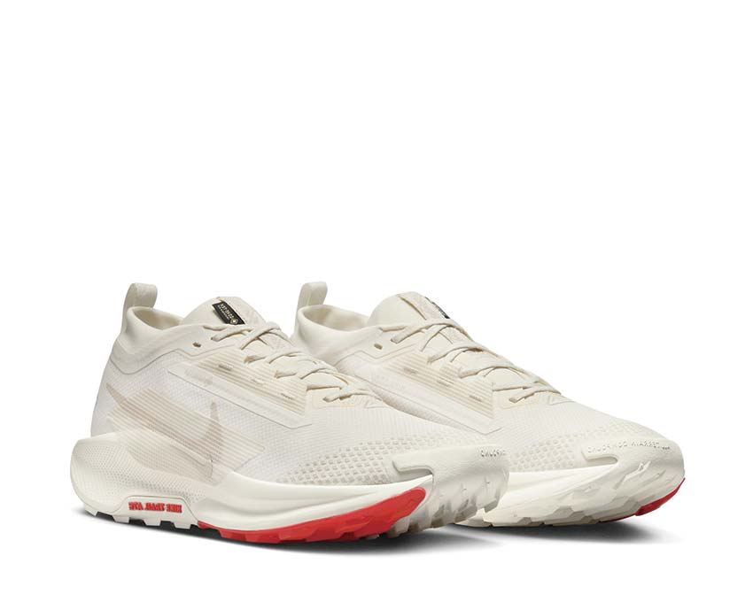 Nike Pegasus Trail 5 GTX FQ0908-100