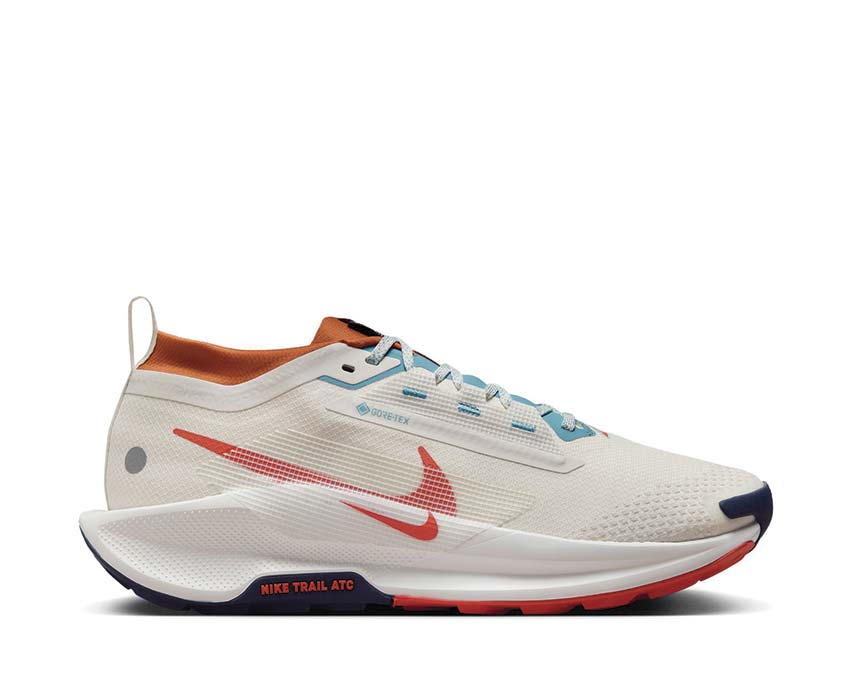 Nike Pegasus Trail 5 GTX Phantom / Vintage Coral - Dark Russet FQ0908-003 