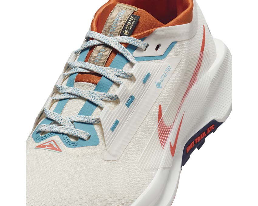 Nike Pegasus Trail 5 GTX Phantom / Vintage Coral - Dark Russet FQ0908-003 
