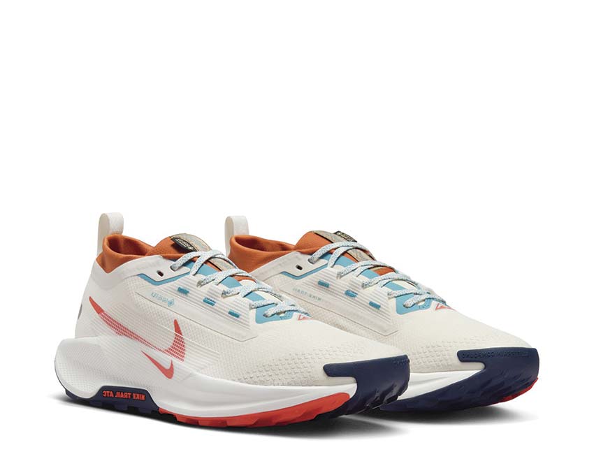Nike Pegasus Trail 5 GTX Phantom / Vintage Coral - Dark Russet FQ0908-003 