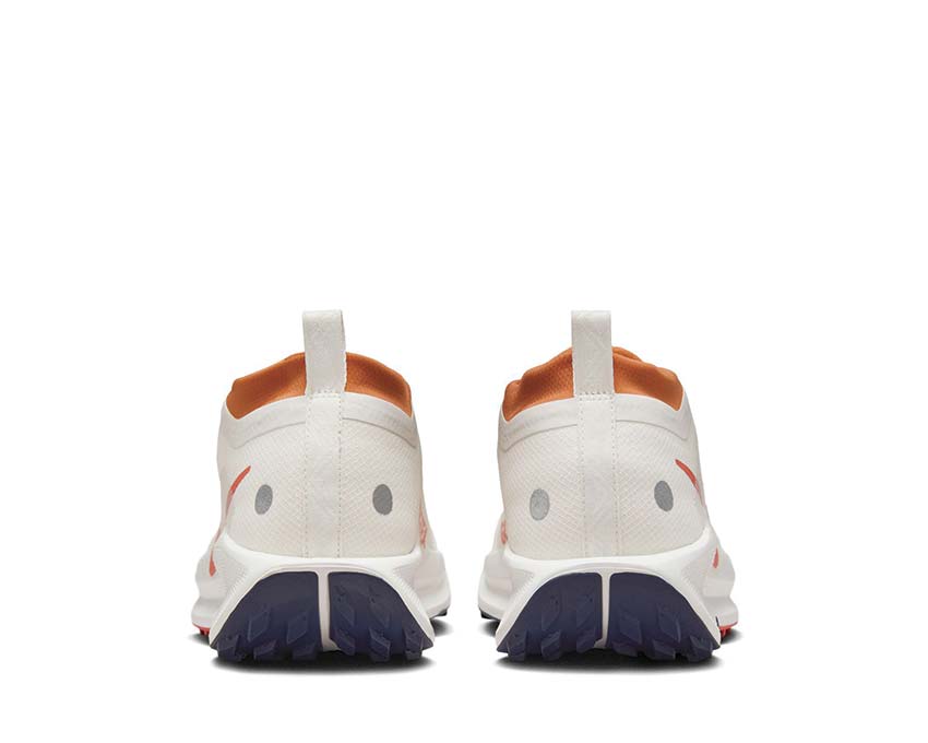 Nike Pegasus Trail 5 GTX Phantom / Vintage Coral - Dark Russet FQ0908-003 