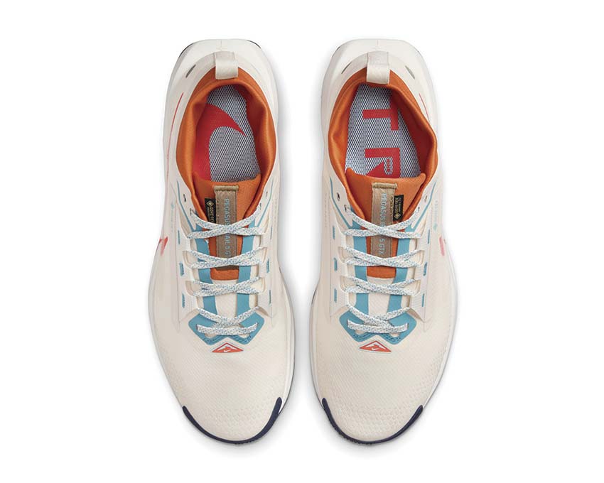 Nike Pegasus Trail 5 GTX Phantom / Vintage Coral - Dark Russet FQ0908-003 