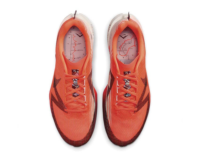Acheter Nike Terra Kiger 10 