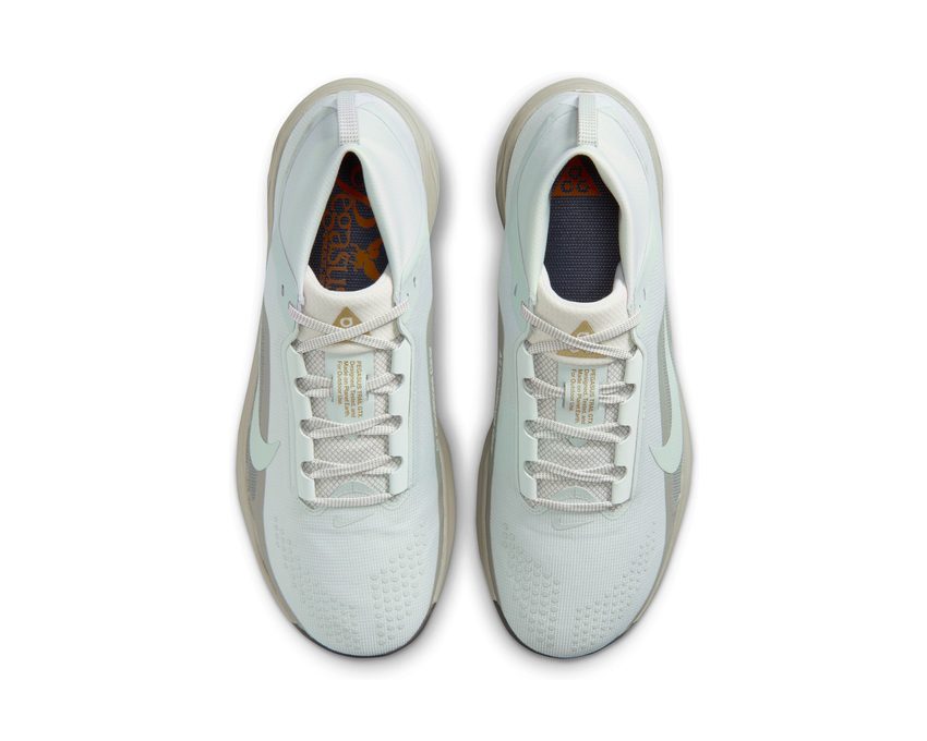 Nike Acg Pegasus Trail Gtx "Silver"