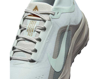 Nike Acg Pegasus Trail Gtx "Silver"