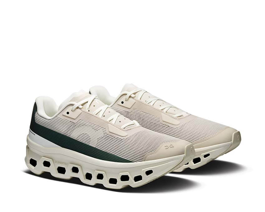  ON Cloudmonster Void W 3WG10811021