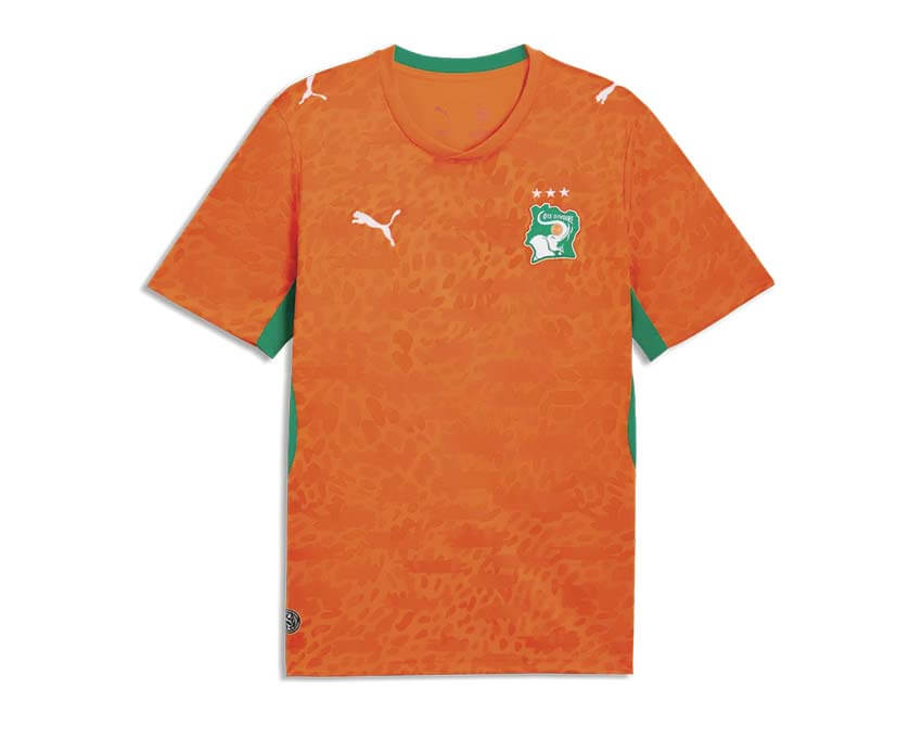 Puma FIF Home Jersey Replica 783182-01
