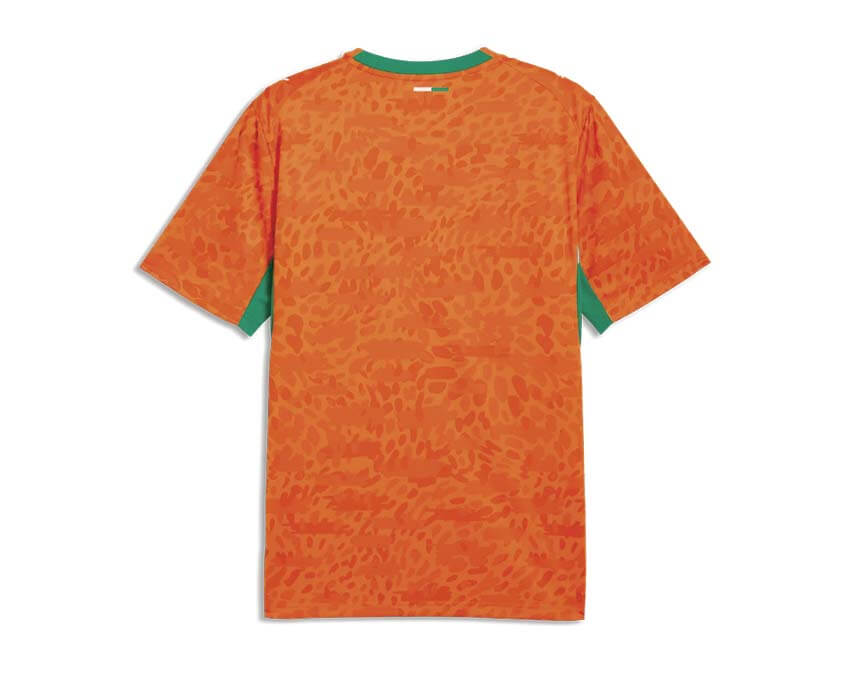 Puma FIF Home Jersey Replica 783182-01