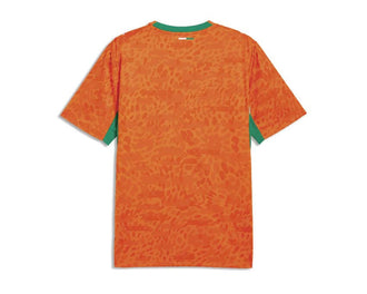 Puma FIF Home Jersey dos — dos maillot domicile Côte d'Ivoire Puma