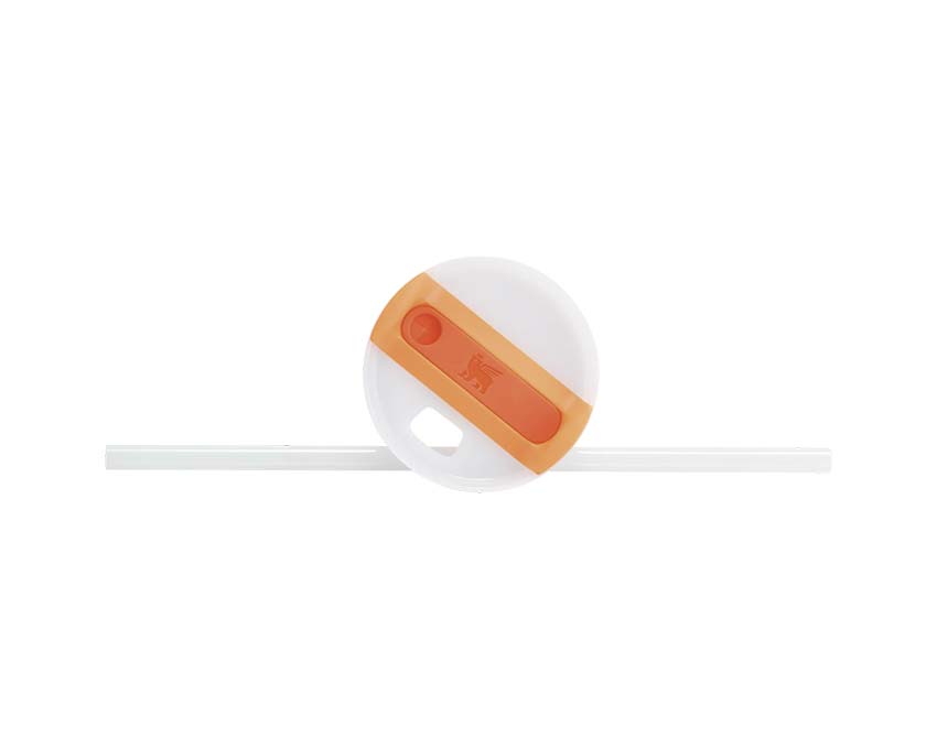  Stanley Quencher H2.O Orange 10-13230-065 