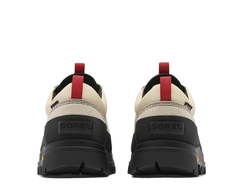 Sorel Daystorm™ Nomad Gtx "Chalk, Black"