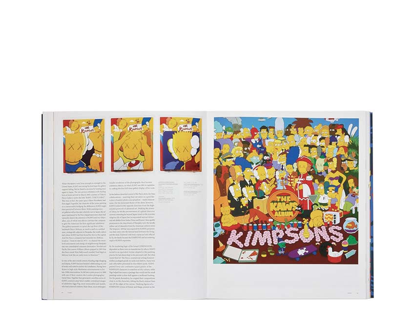 Buy KAWS Nadel Dan Phaidon - NOIRFONCE