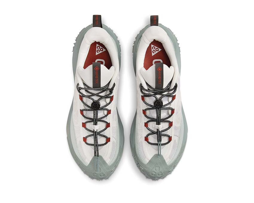 Nike ACG Mountain Fly 2 Low GTX Phantom / DK Smoke Grey - Light Silver HF6245-003